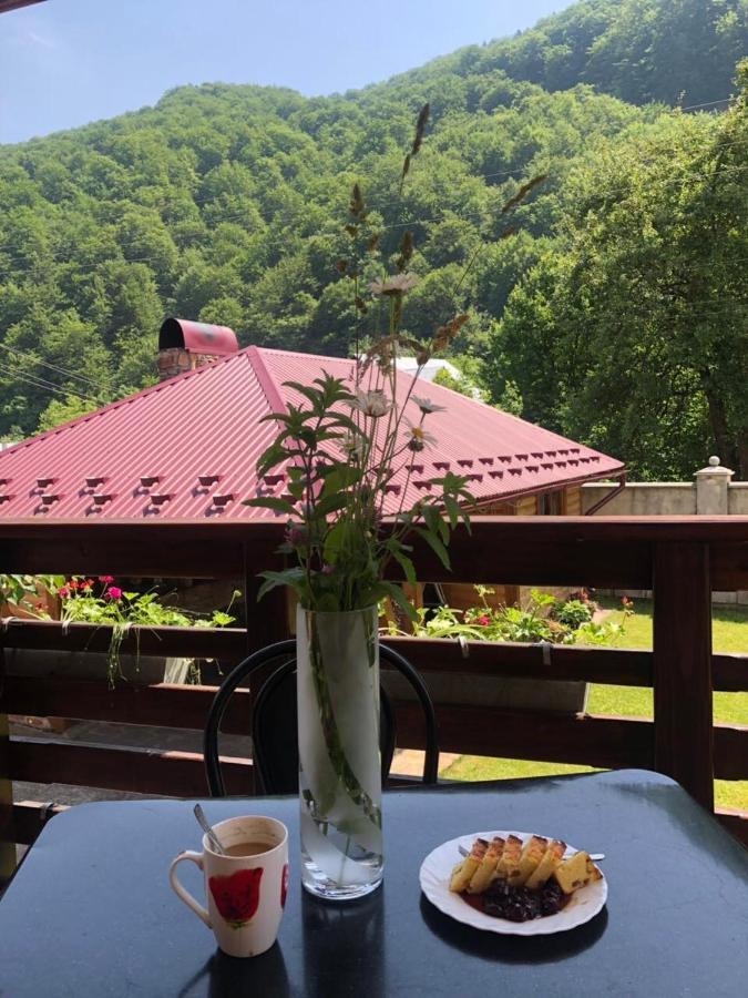 Lodge Relax Yaremche